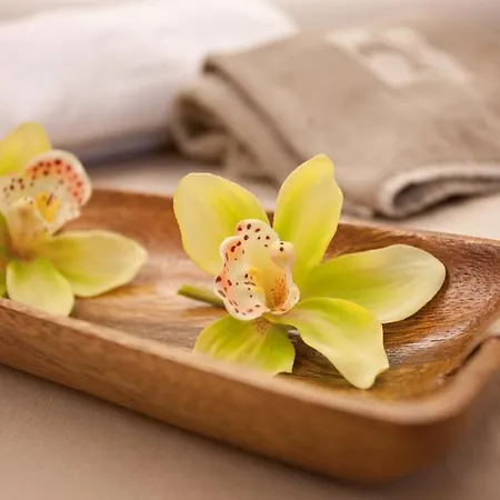 ホテル Life Loipersdorf Fürstenfeld