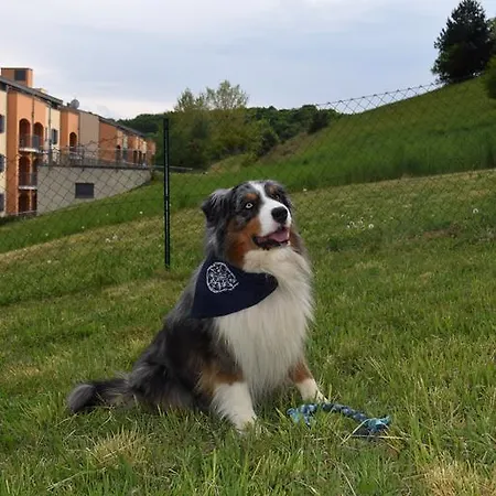 Life Loipersdorf 酒店