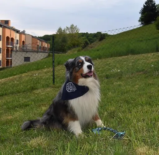 Life Loipersdorf ホテル